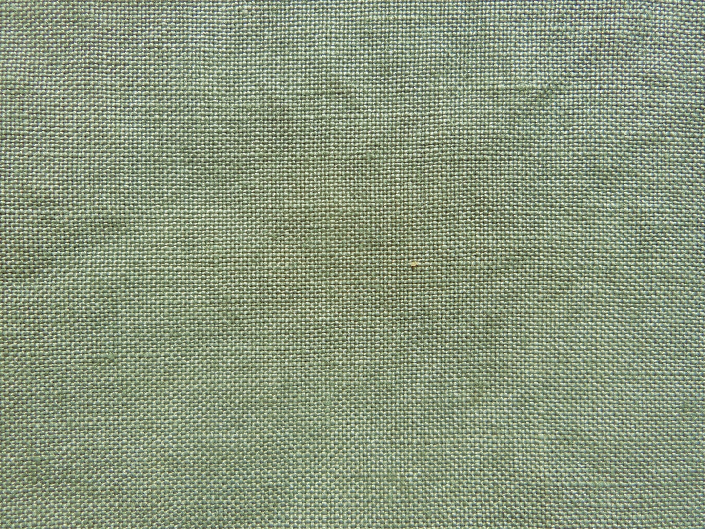 *オリーブドラブ* Olive Drab 32ct 12×18in. 31×42cm