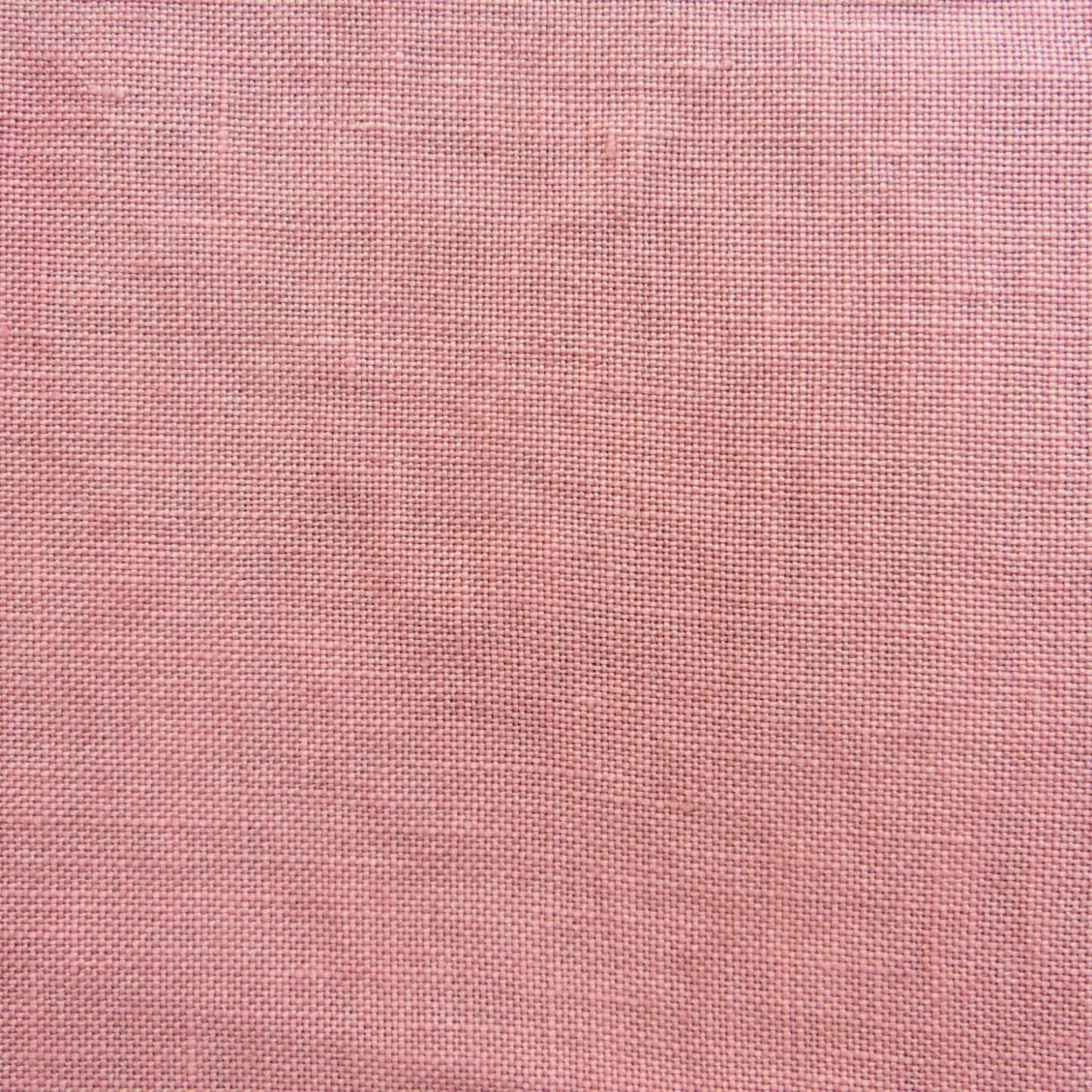 *Ash Rose* Ash Rose 32ct 18×25in. 45×64cm