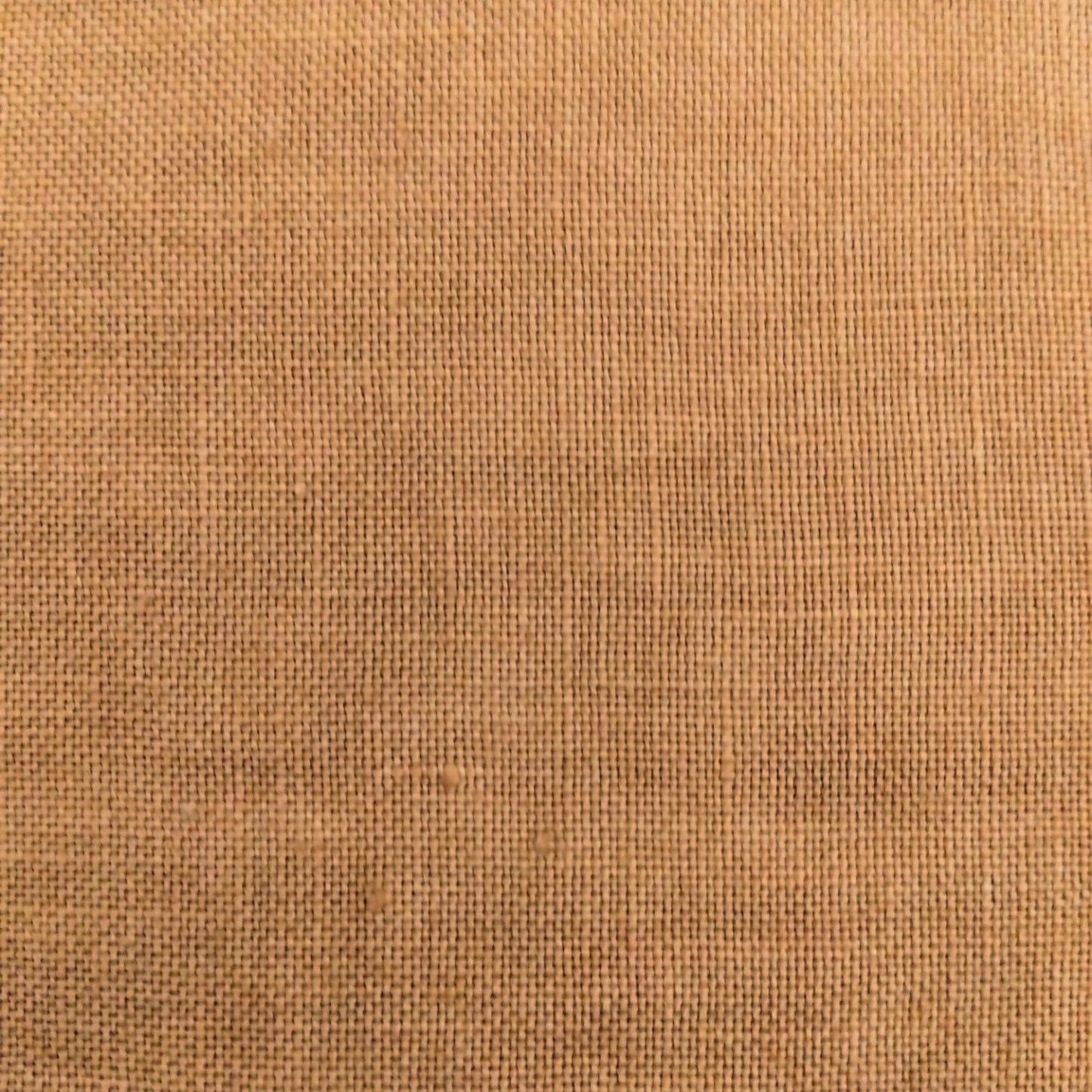 *Brown Bear Brown* Brown Bear Brown 28ct 18×25in. 48×63cm