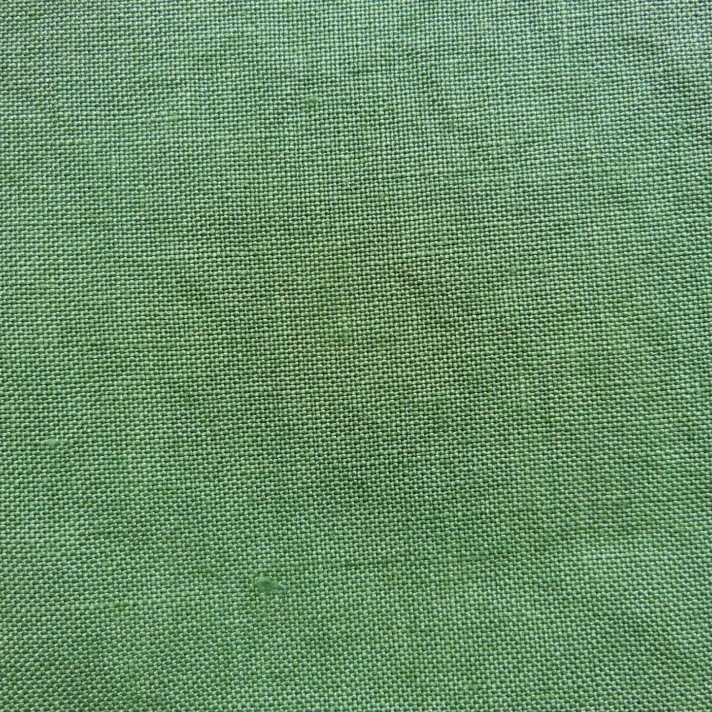 Cactus Green 36ct 13×18in. 33×45cm