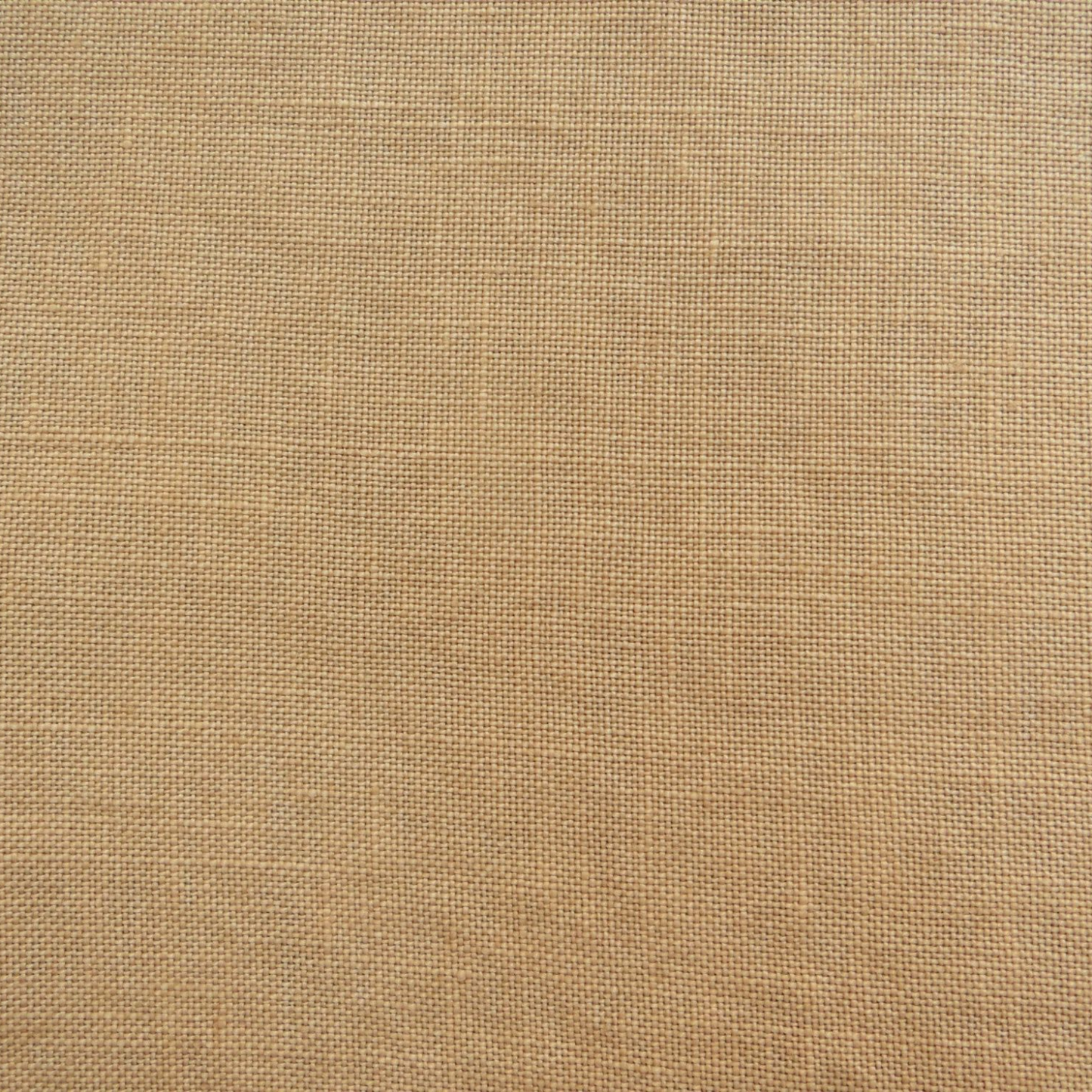 *マッシュルームソテー* Sauteed Mushroom  36ct  13×18in.  33×46cm
