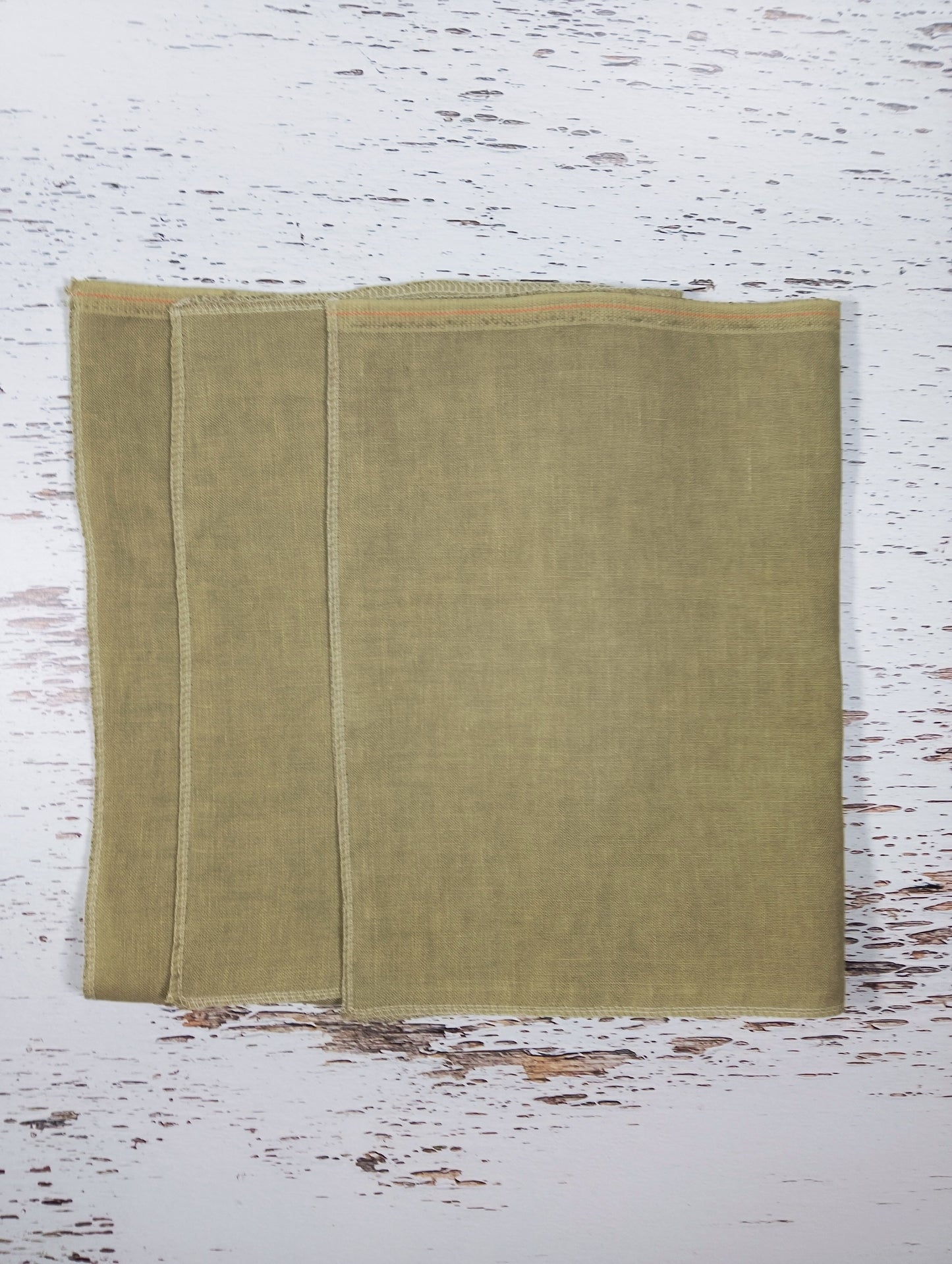 *苔の庭* Moss Garden  36ct  12.5×19in.  32×48cm