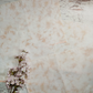 *Barely Beige Classic* 40ct 32×47cm 12.5×18.5in.