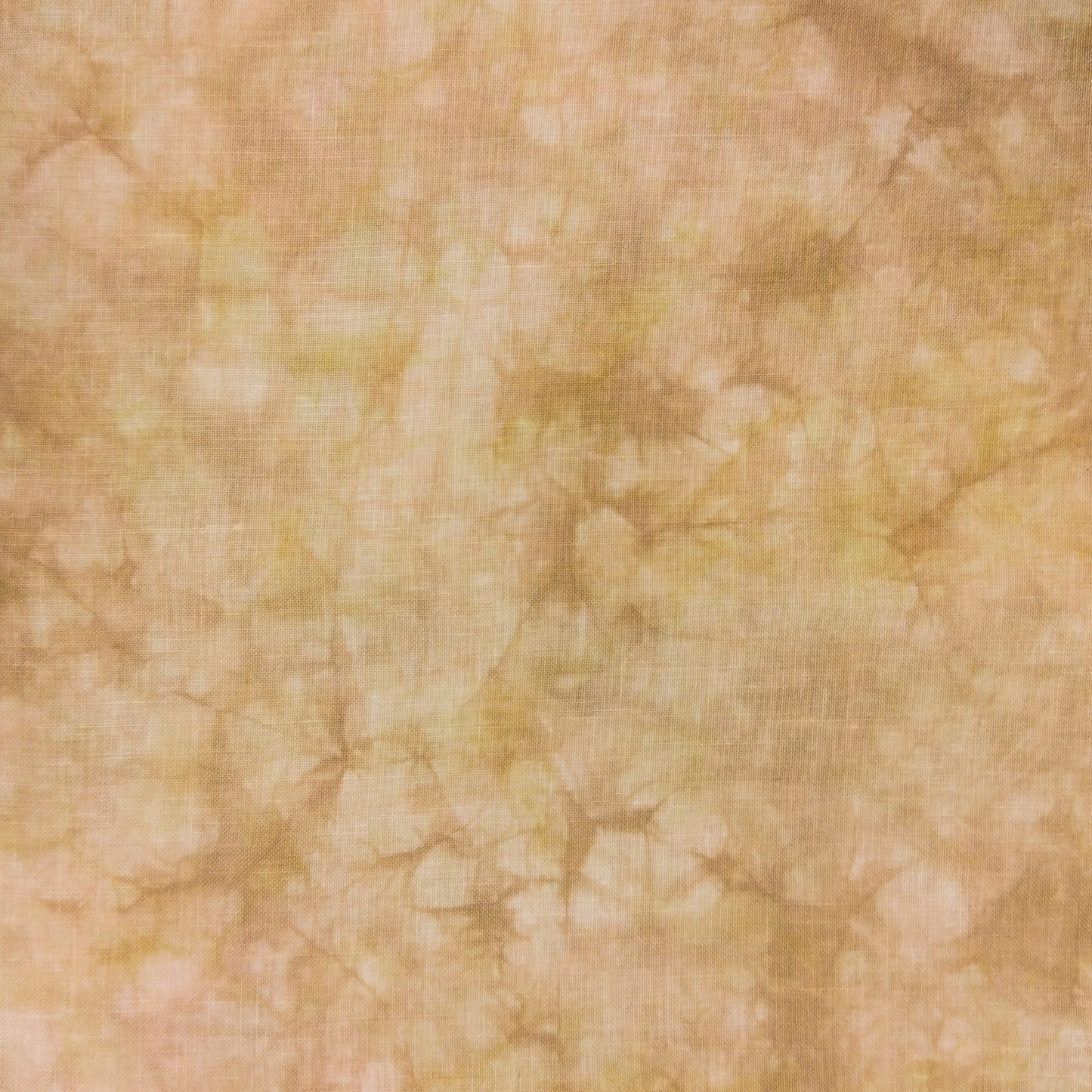 *キャラメル クラシック*　Caramel Classic  36ct  12×18in.  31×46cm