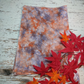 *焚き火* Woodland Bonfire  32ct  約32×47cm  12.5×18in.
