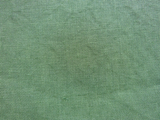 Cactus Green  36ct  13×18in.  33×45cm