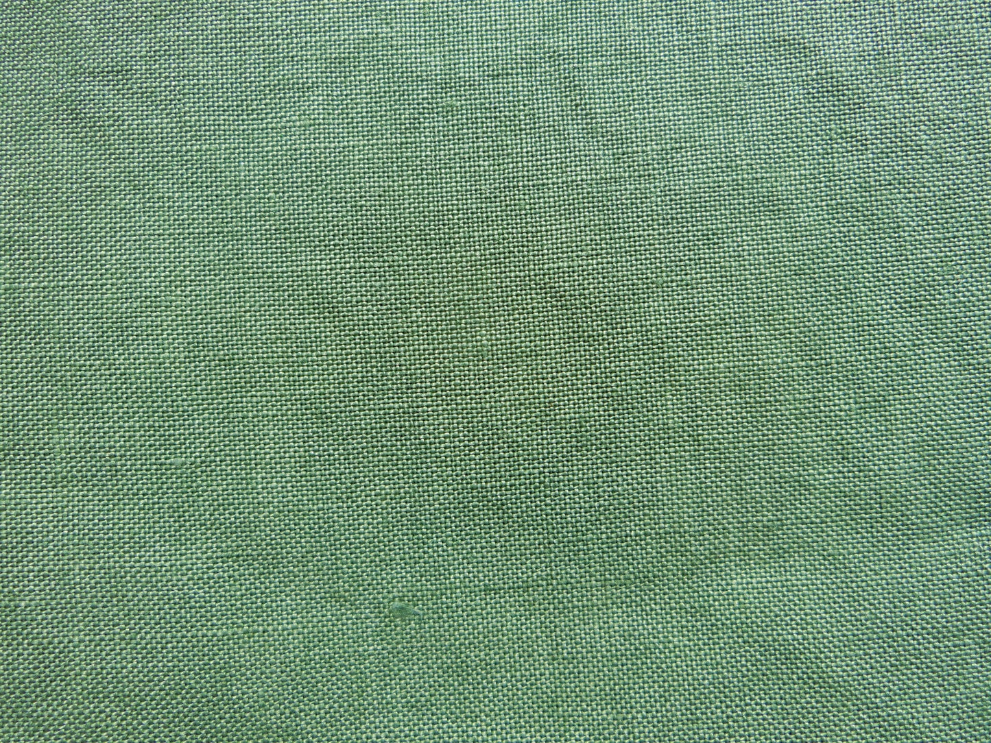 Cactus Green  36ct  12×19in.  30×48cm